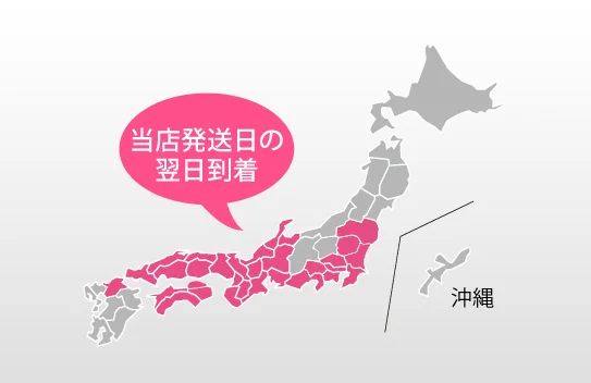翌日お届け先対応地域