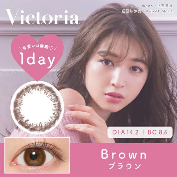 Victoria 1day 《ブラウン》