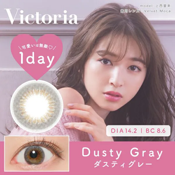 Victoria 1day（ヴィクトリア ワンデー）ダスティーグレー