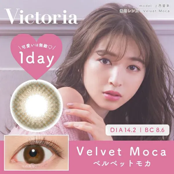 Victoria 1day（ヴィクトリア ワンデー）ベルベットモカ