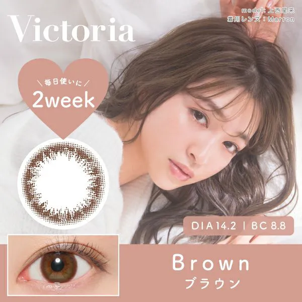 Victoria 2week《ブラウン》