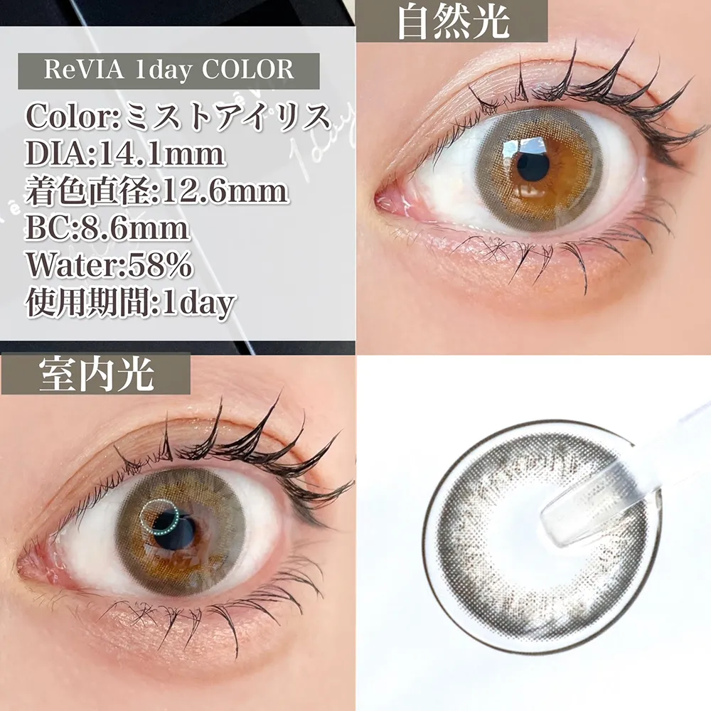 ReVIA 1day COLOR /ミストアイリス