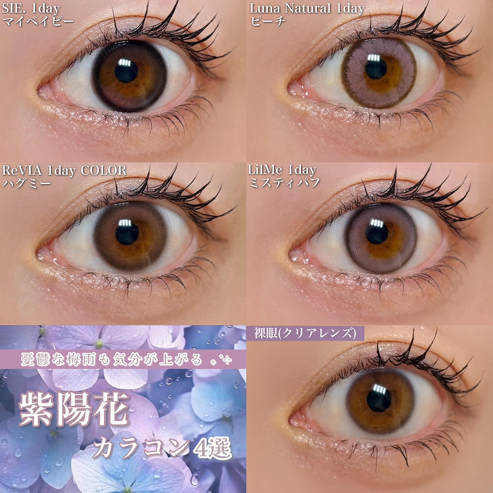 紫陽花カラコン4選