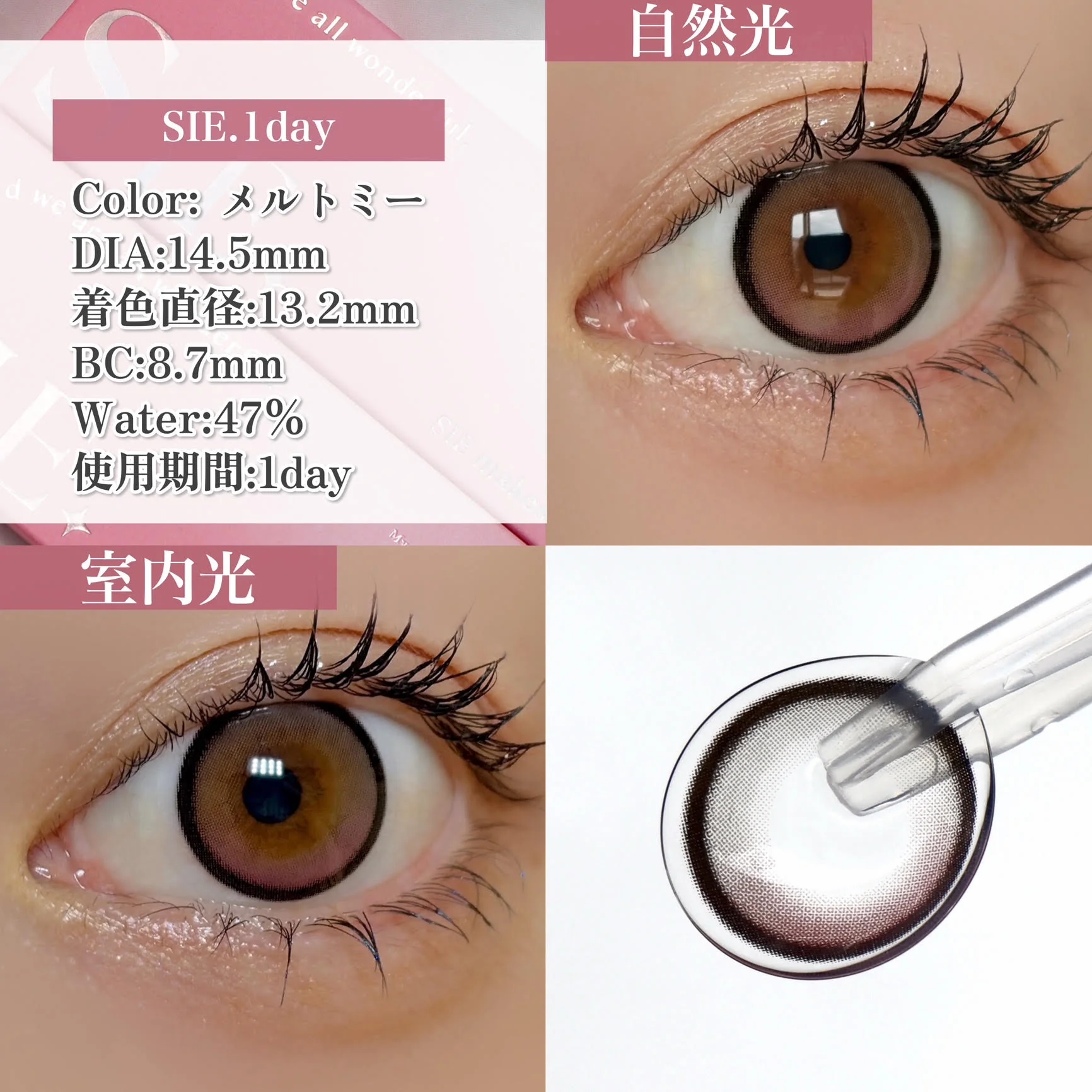 SIE. 1day /メルトミー