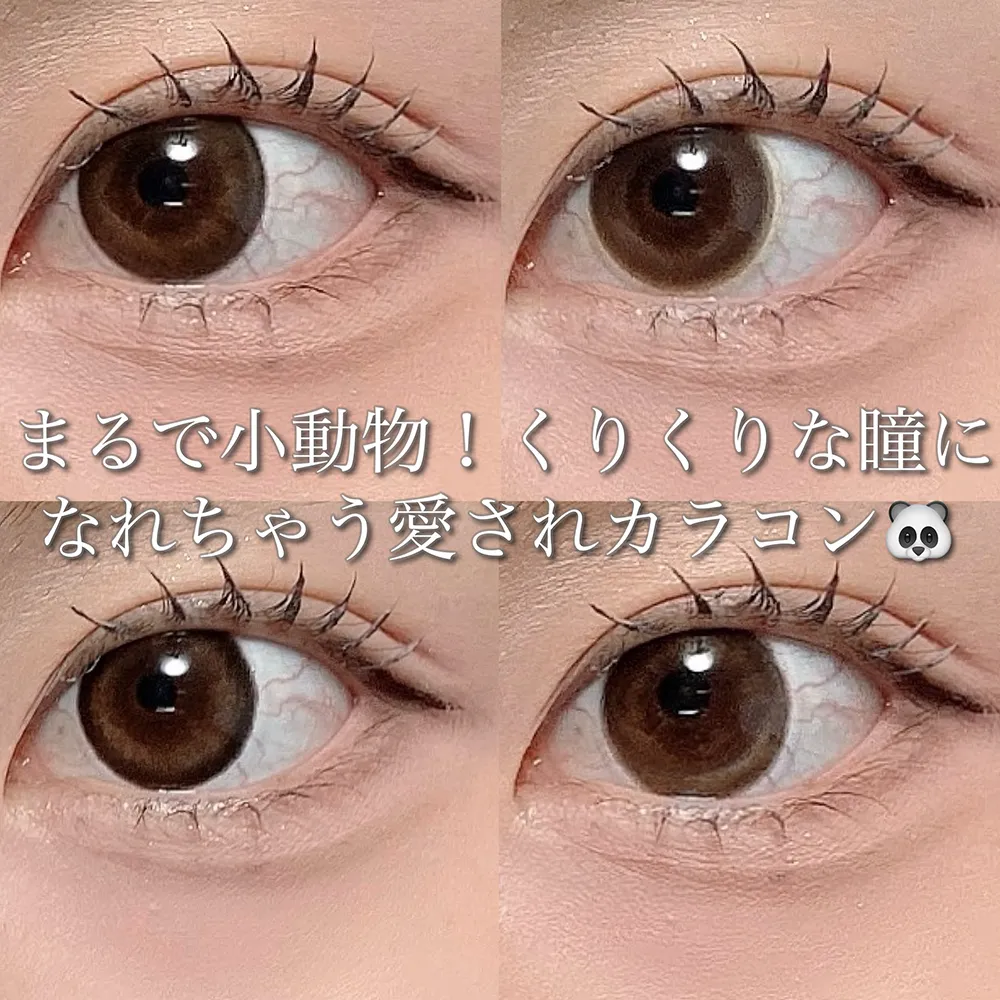 まるで小動物！くりくりな瞳になれちゃう愛されカラコン♡