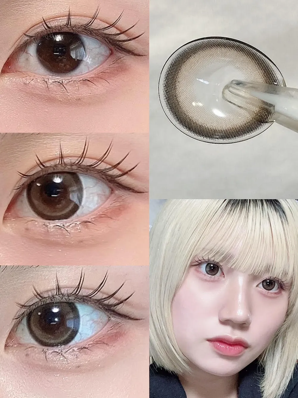 secret candymagic 1day (シークレットキャンディーマジック ワンデー）Vanilla Brown(バニラブラウン)