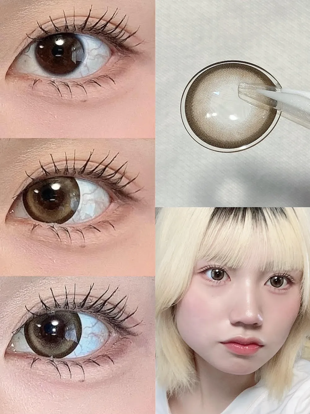 candymagic 1day(キャンディーマジック ワンデー)MELTY HONEY(メルティハニー)