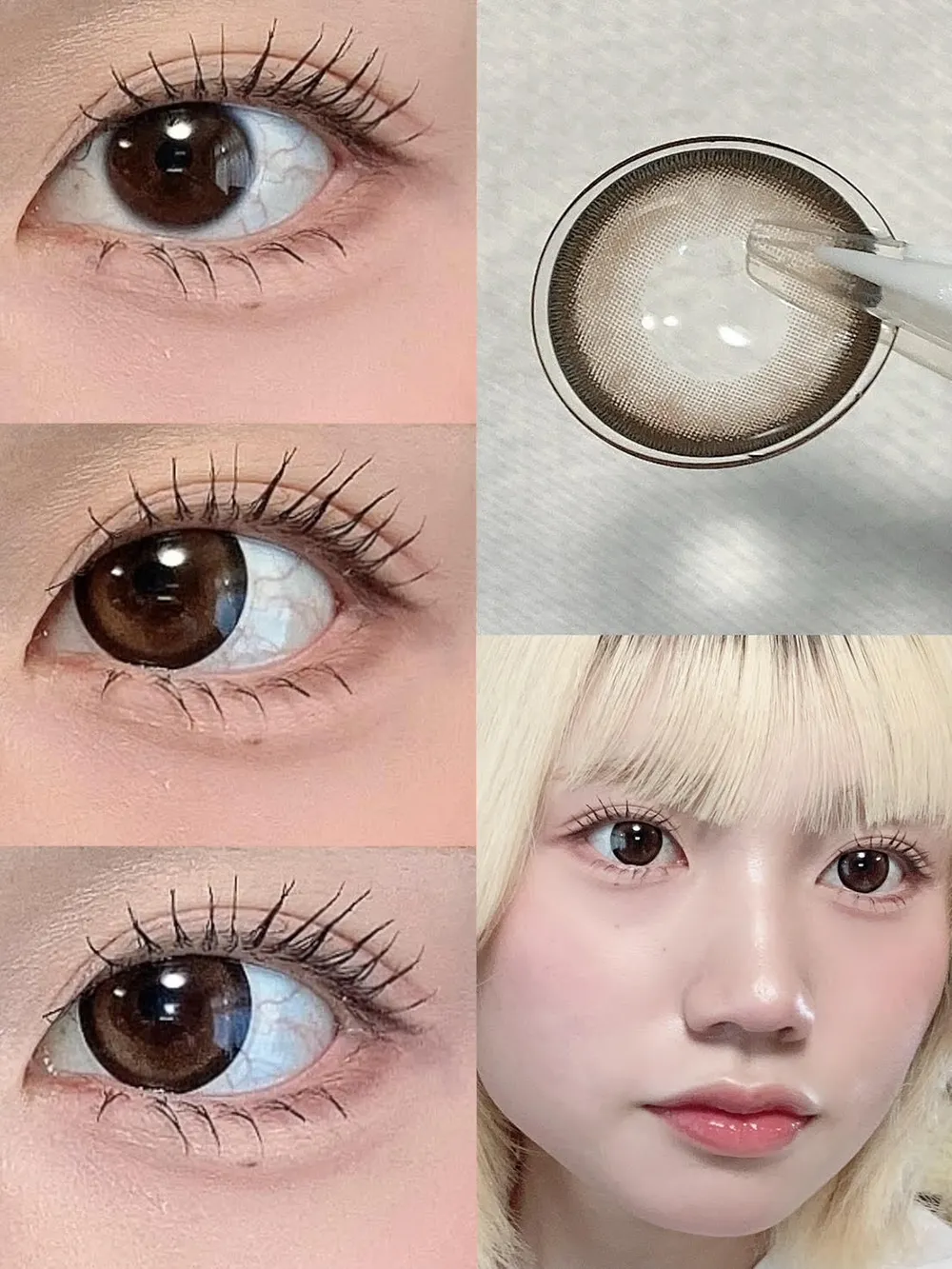 candymagic 1day(キャンディーマジック ワンデー)CHOCO MEW(チョコミュー)