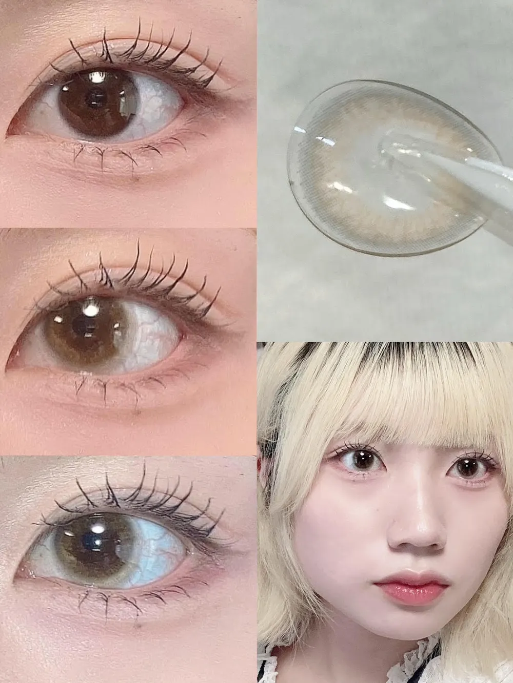 secret candymagic 1day （シークレットキャンディーマジック ワンデー) Light Brown（ライトブラウン）