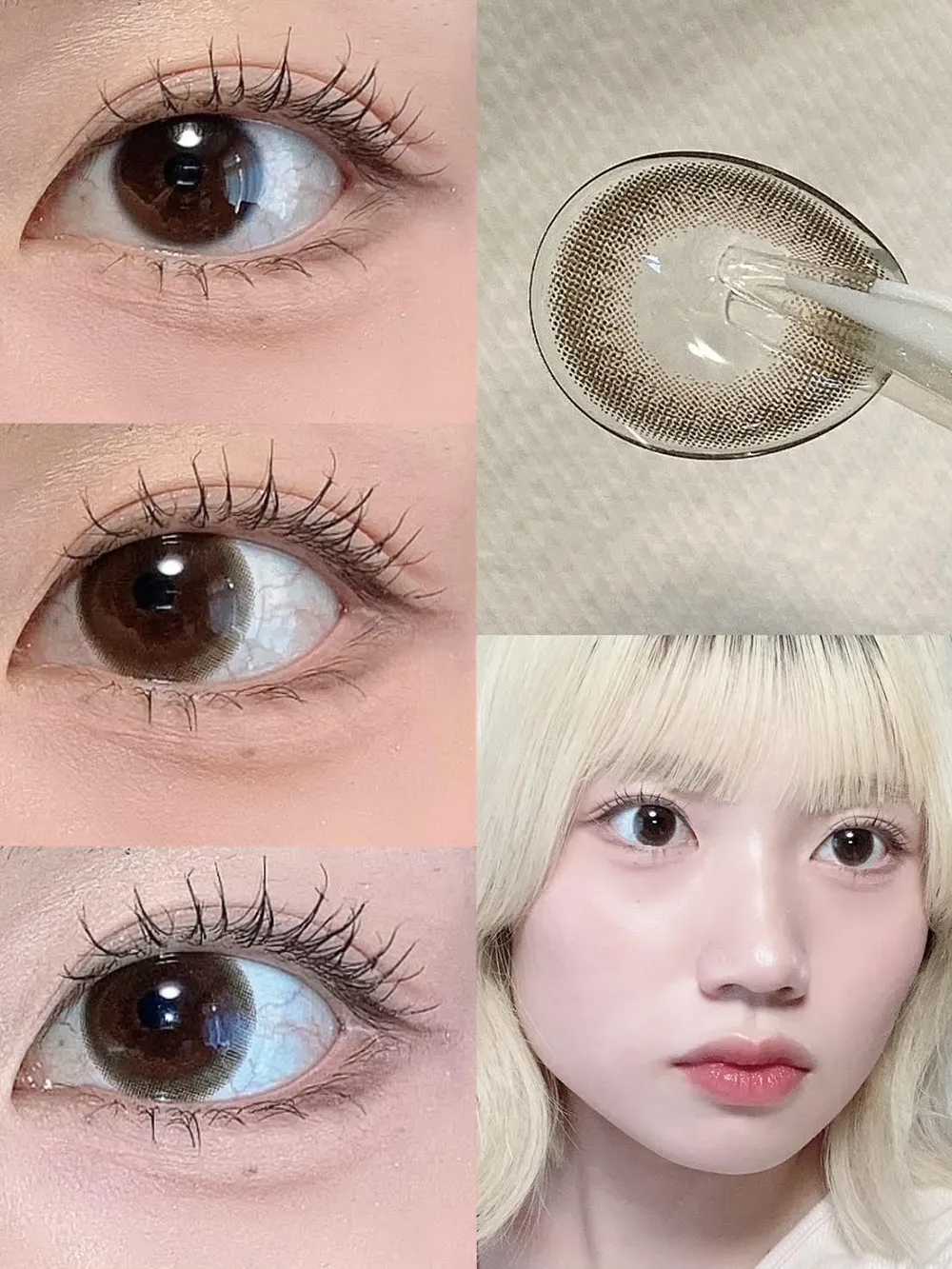 Victoria 1day （ヴィクトリア ワンデー) Velvet Moca-ベルベットモカ