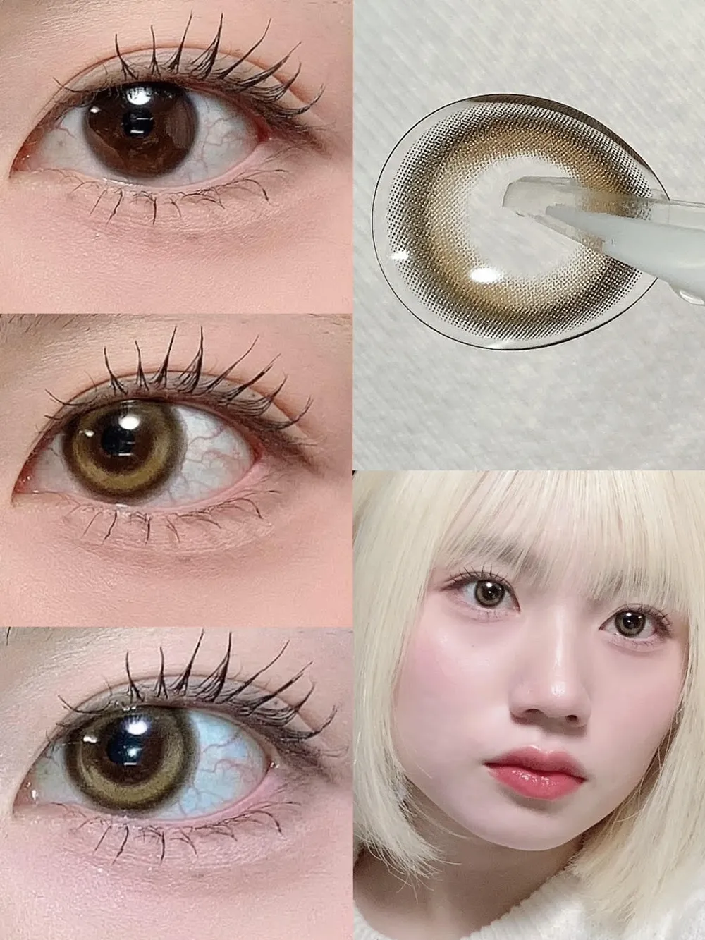 LilMe 1day（リルミィ ワンデー） Dreamy Bear(ドリーミーベア)