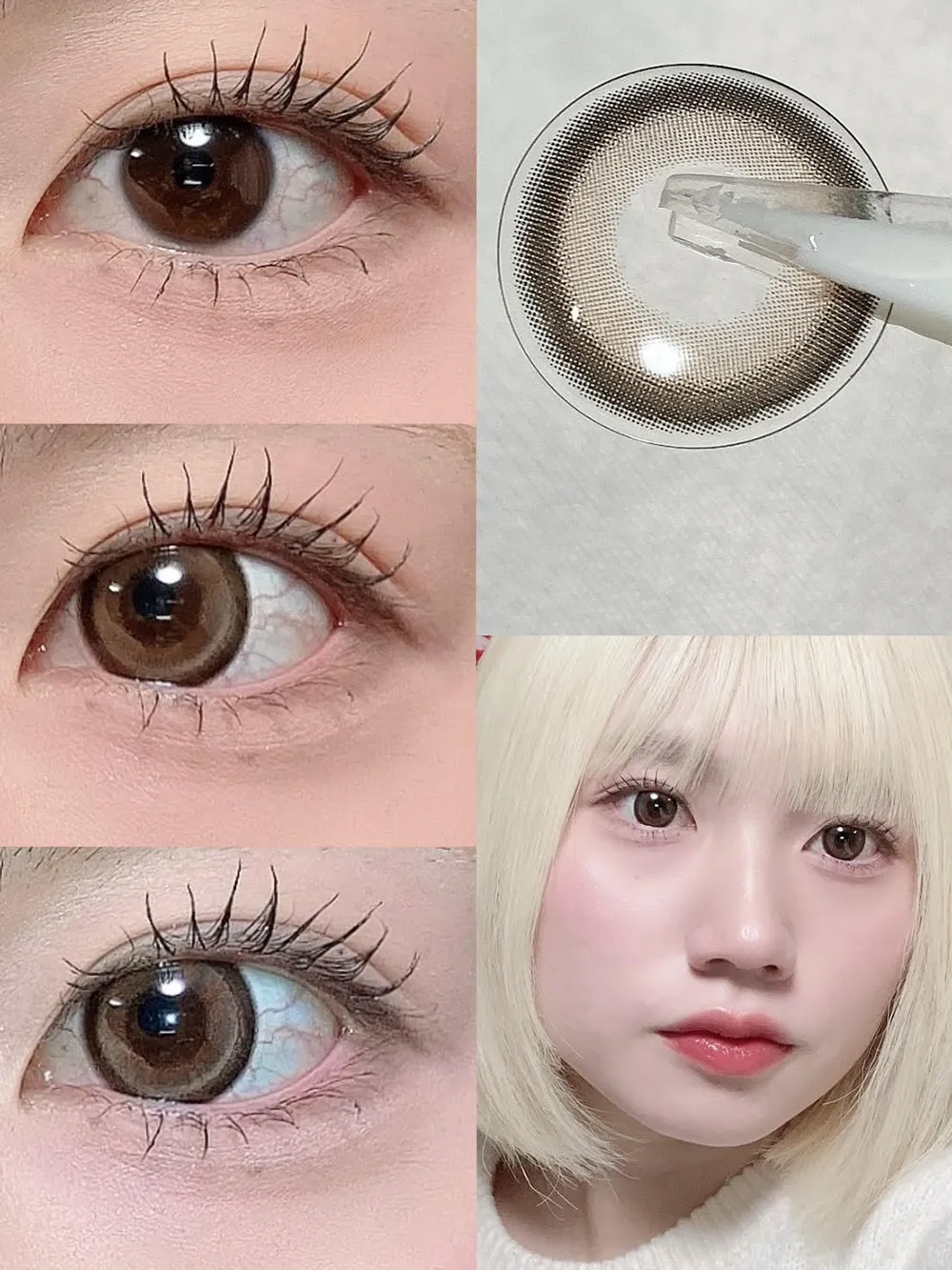 secret candymagic 1day(シークレットキャンディーマジック ワンデー ) Vanilla Brown（バニラブラウン）