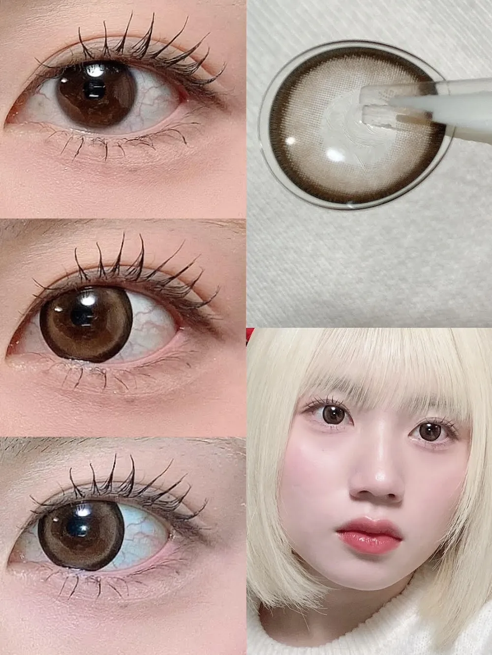 candymagic 1day(キャンディーマジック ワンデー) CHOCO MEW(チョコミュー)