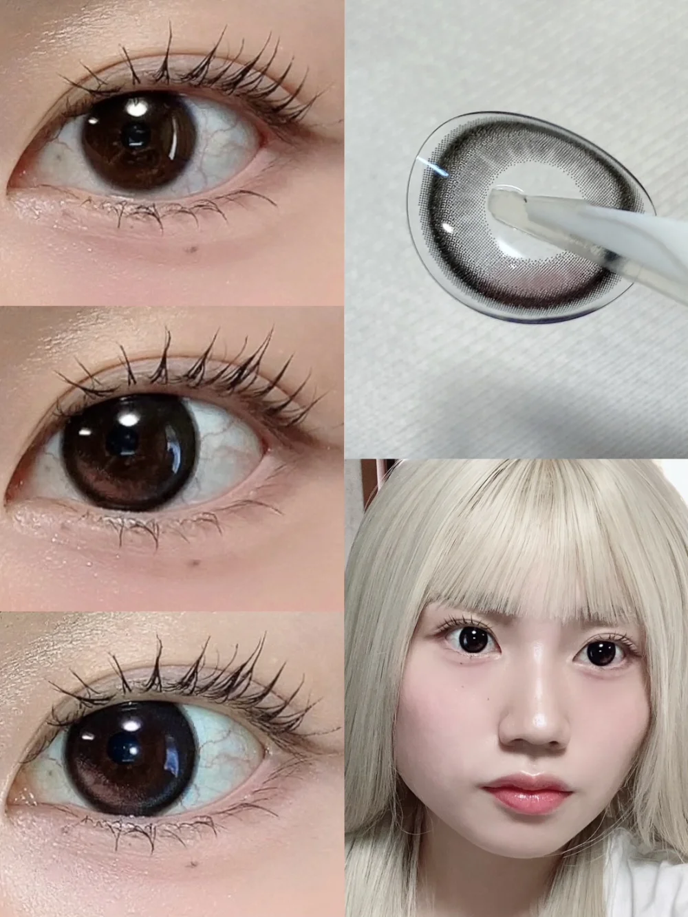 SIE.1day (シー　ワンデー) MY BABY(マイベイビー)