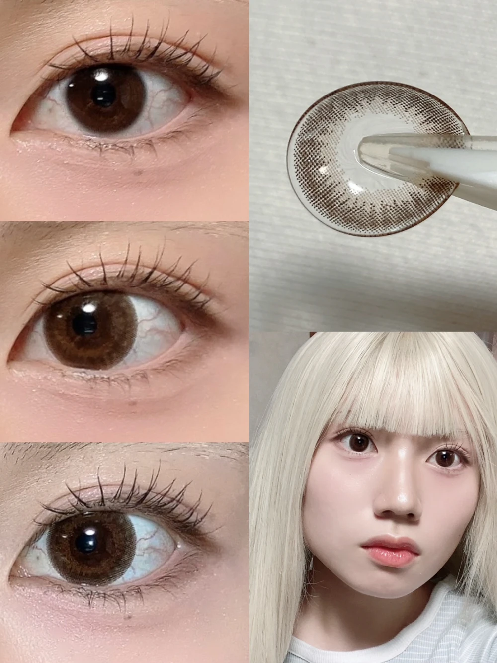 ReVIA MULTIFOCAL 1day COLOR（レヴィアマルチフォーカルワンデーカラー）Sheer Sable - シアーセーブル