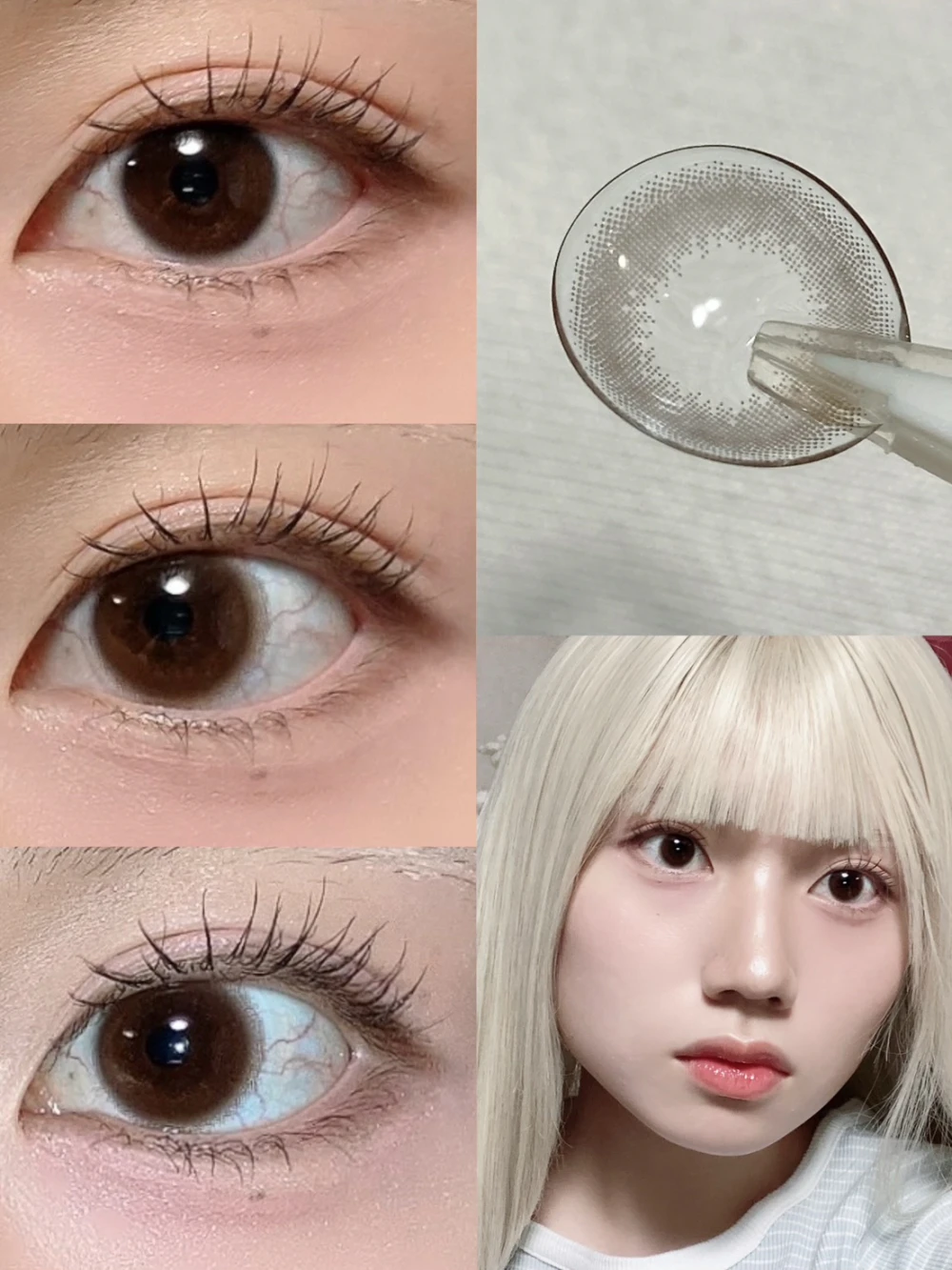ReVIA MULTIFOCAL 1day CIRCLE（レヴィアマルチフォーカルワンデーサークル）MUUSE BROWN - ムースブラウン