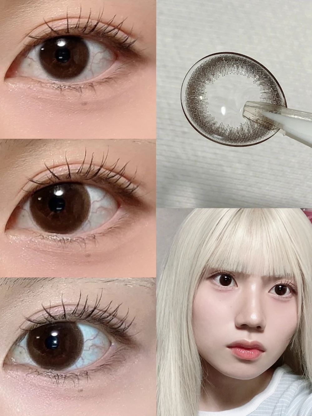ReVIA MULTIFOCAL 1day CIRCLE（レヴィアマルチフォーカルワンデーサークル）BROWN - ブラウン