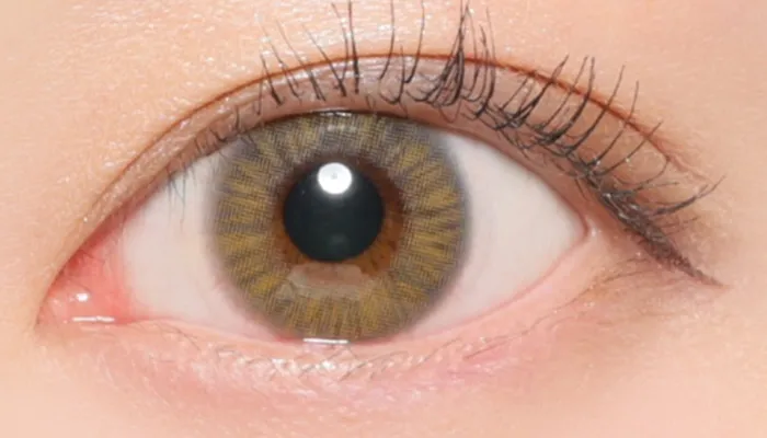 フローズンヘーゼル装着時