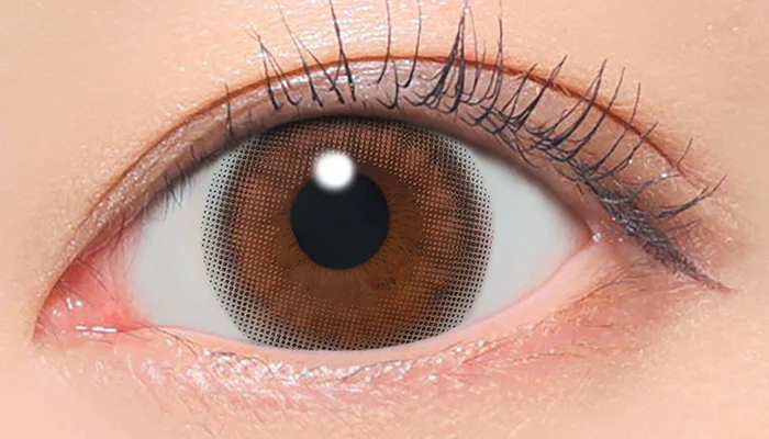 candymagic 1day デートブラウン 着用画像