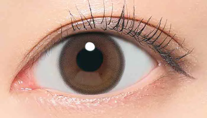 カレンブラウン