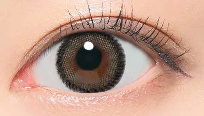 スズカオリーブ