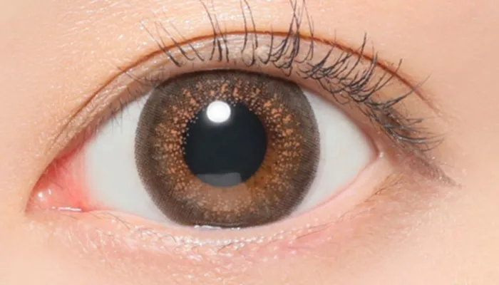 アプリコットタルト