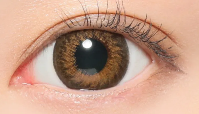 ハニーマカロン