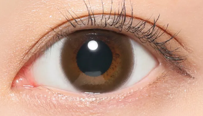 ブラウン着用時