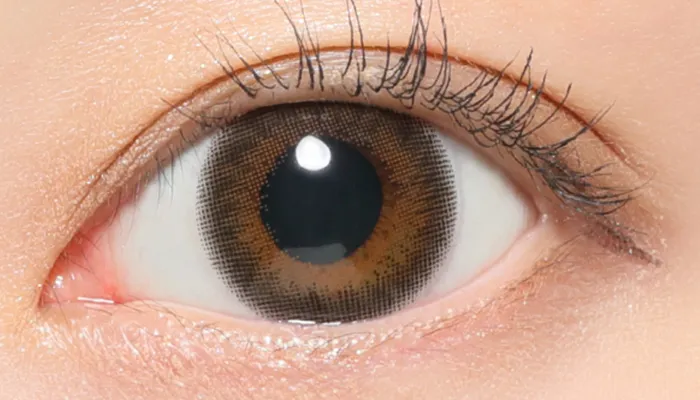 シアーセーブル着用時