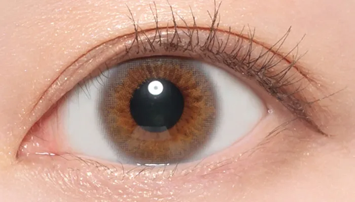 ライトブラウン着用時