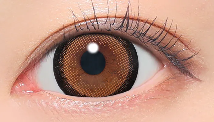 NO.3ブラウン着用時