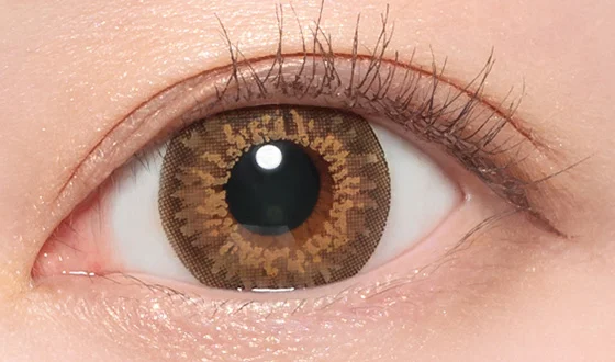 キャンディーマジック マンスリー ゴシップブラウン着用画像