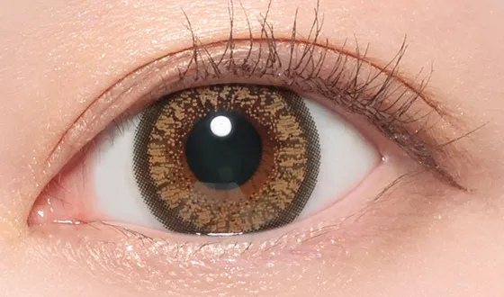 キャンディーマジック マンスリー ナチュラルブラウン着用画像