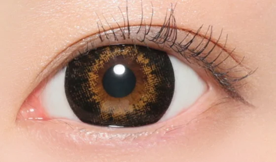 ファビュラス マンスリー No.6 ブラウン着用画像