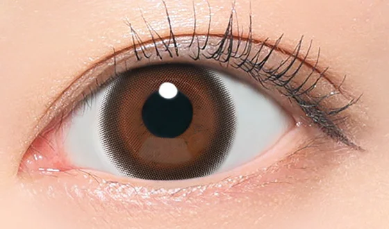 フルフル ワンデー ノエルブラウン着用画像