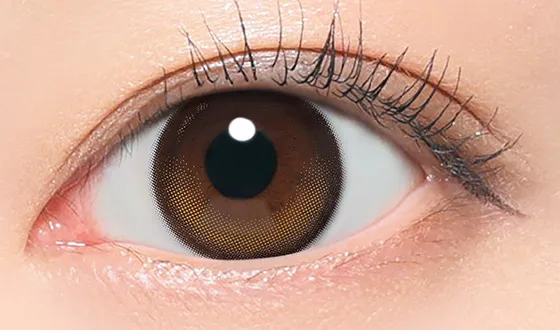 リアリア マンスリー リアリーブラウン着用画像