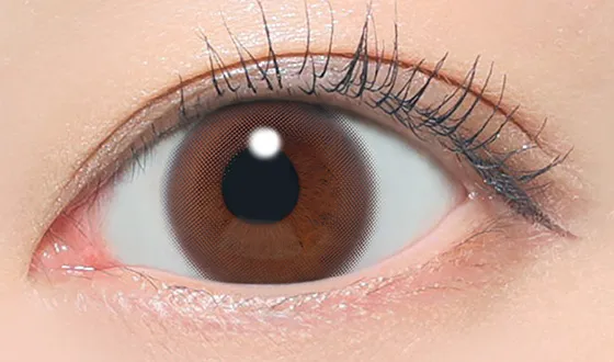 レヴィア ワンデー ヌイブラウン着用画像