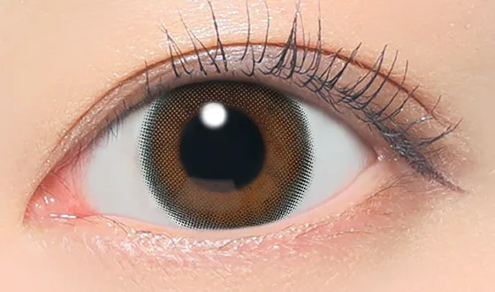 レヴィア マンスリー メルティモア 着用画像