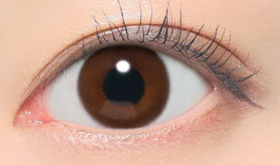 レヴィア マンスリー シャイブラウン 着用画像