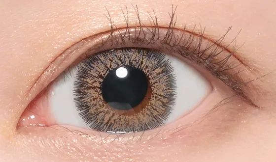 シークレットキャンディーマジック マンスリー No.15グレー着用画像