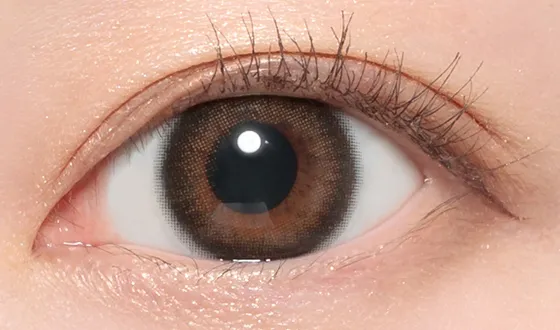 シークレットキャンディーマジック マンスリー シマーブラウン着用画像