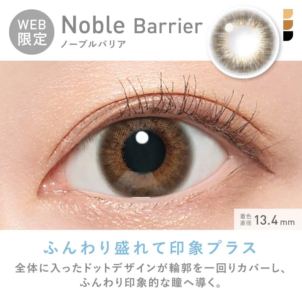 ReVIA ブルーライトバリア 1day ノーブルバリア DIA14.1 BC8.7 着色直径13.4 度あり 度なし 10枚入り