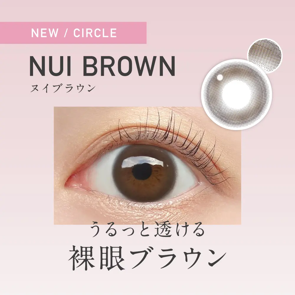 新色紹介