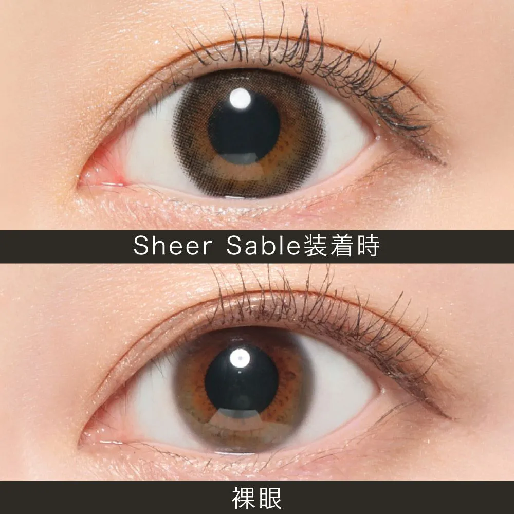ReVIA 1month COLOR シアーセーブル 色直径13.5mm DIA14.1mm BC8.6mm 1箱2枚入り