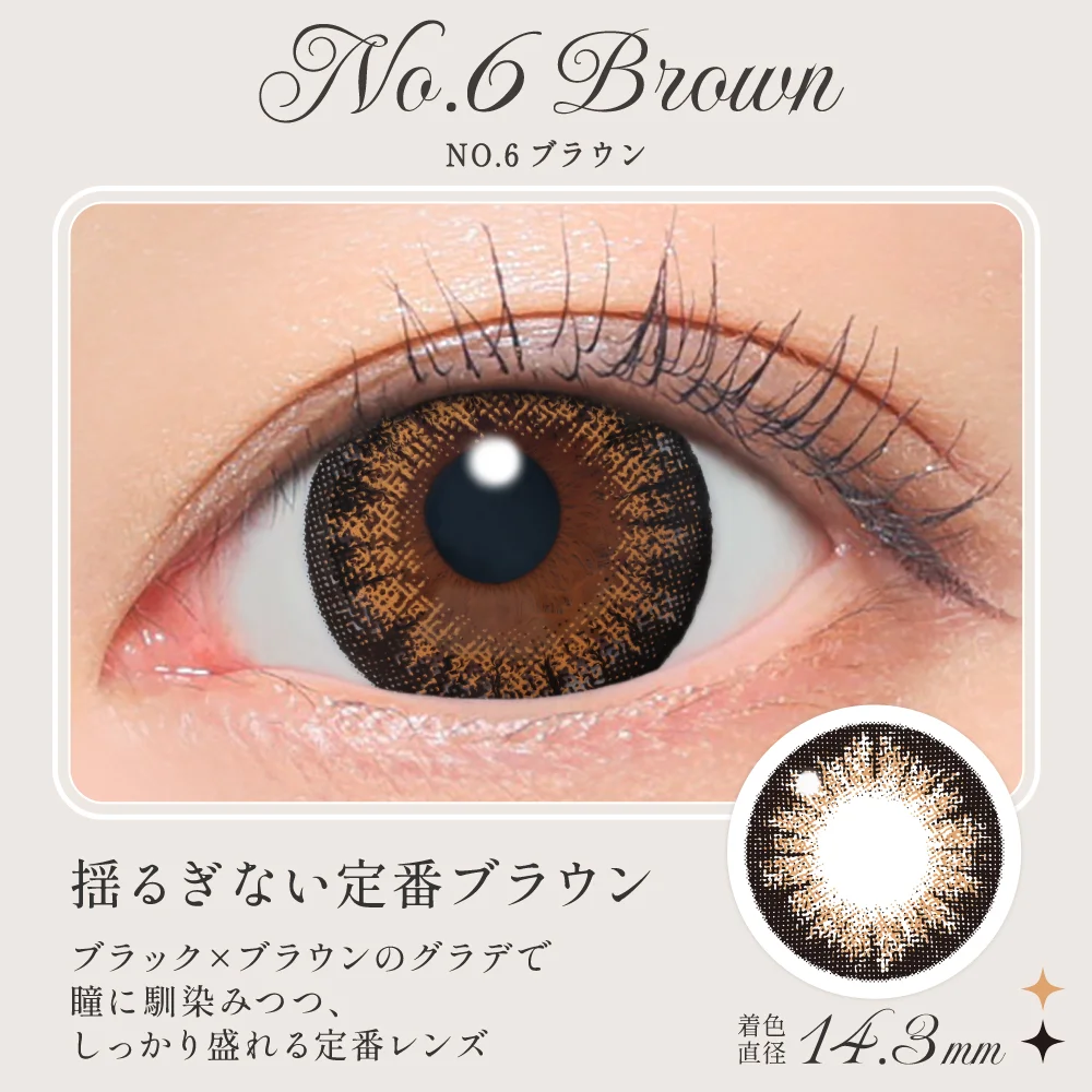 NO.6ブラウン 揺るぎない定番ブラウン