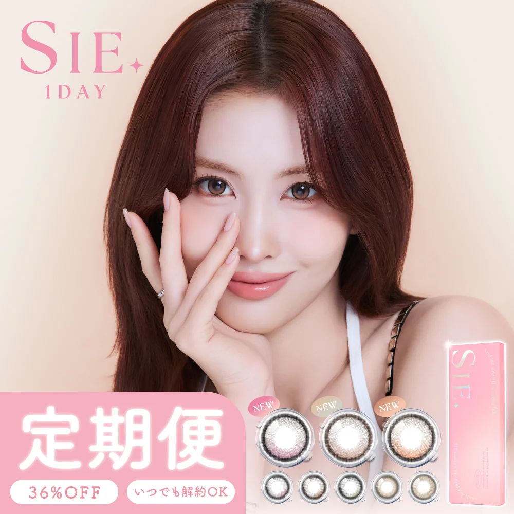 【定期便】 SIE. 1day シー フチあり 12箱セット1箱10枚入り 合計120枚
