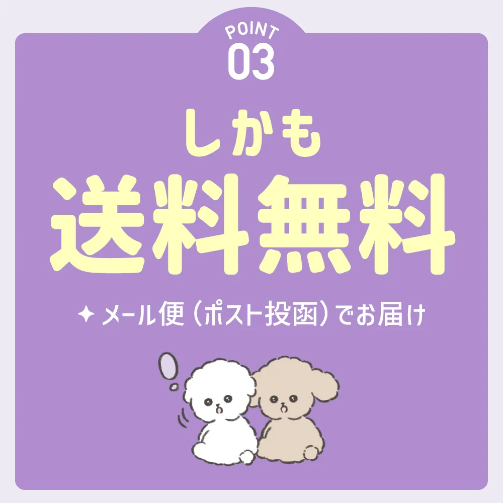 ポイント03 しかも送料無料