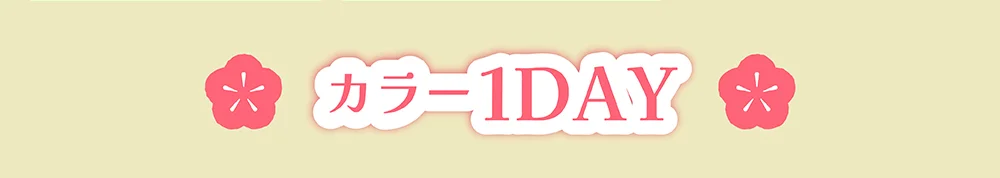 カラー1DAY