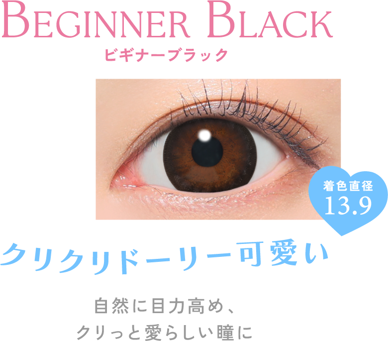 ビギナーブラック クリクリドーリー可愛い