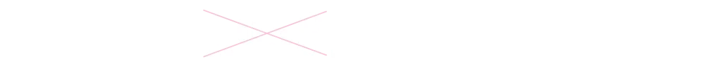 通常価格 1箱10枚入り 1,958円(税込)
